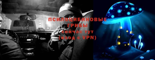 скорость Бородино