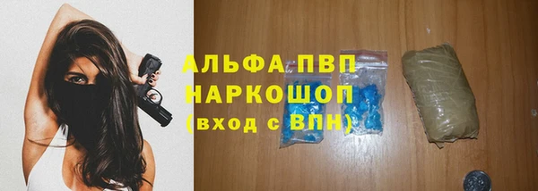 скорость Бородино