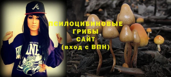 скорость Бородино