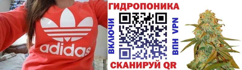 магазин продажи наркотиков  Курган  Каннабис Amnesia 